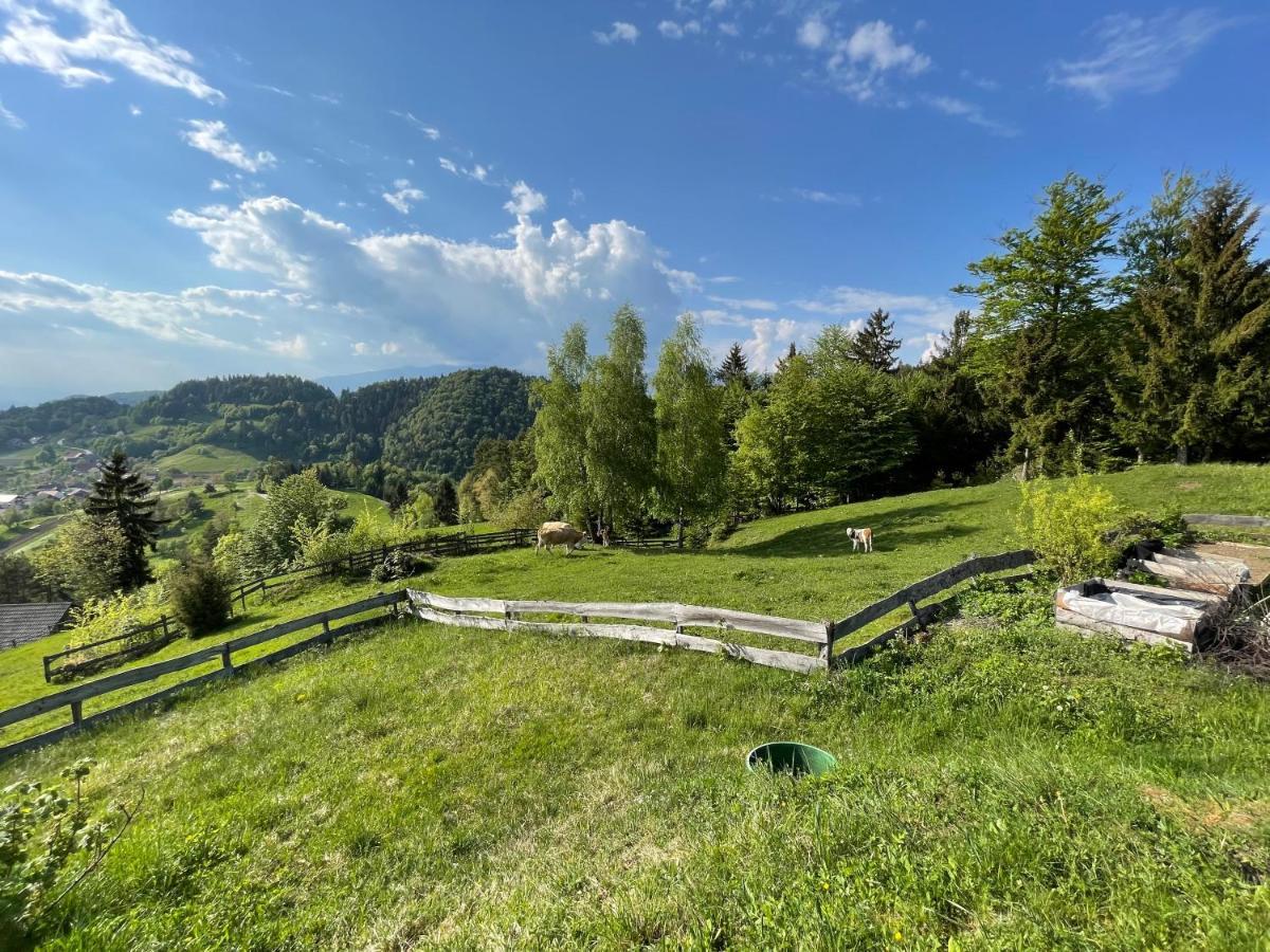 Mountain View Cottage Камник Екстериор снимка